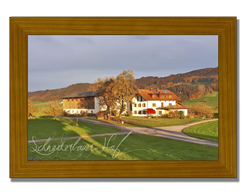 Schneiderbauer-Hof Lamprechtshausen - Fleckvieh-Kalbinnen Aufzucht